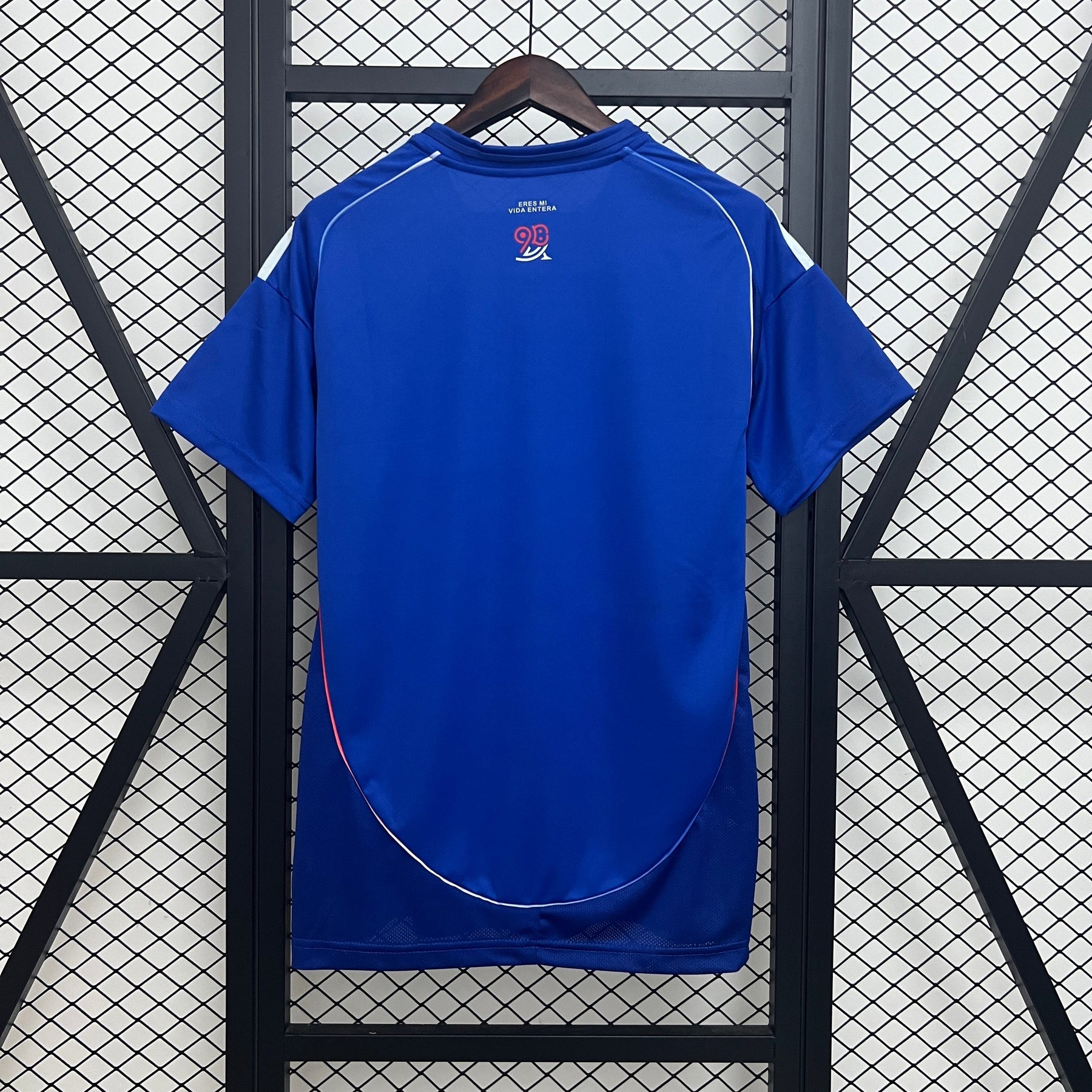 Universidad de Chile Special Edition 2024/25- Fan Version