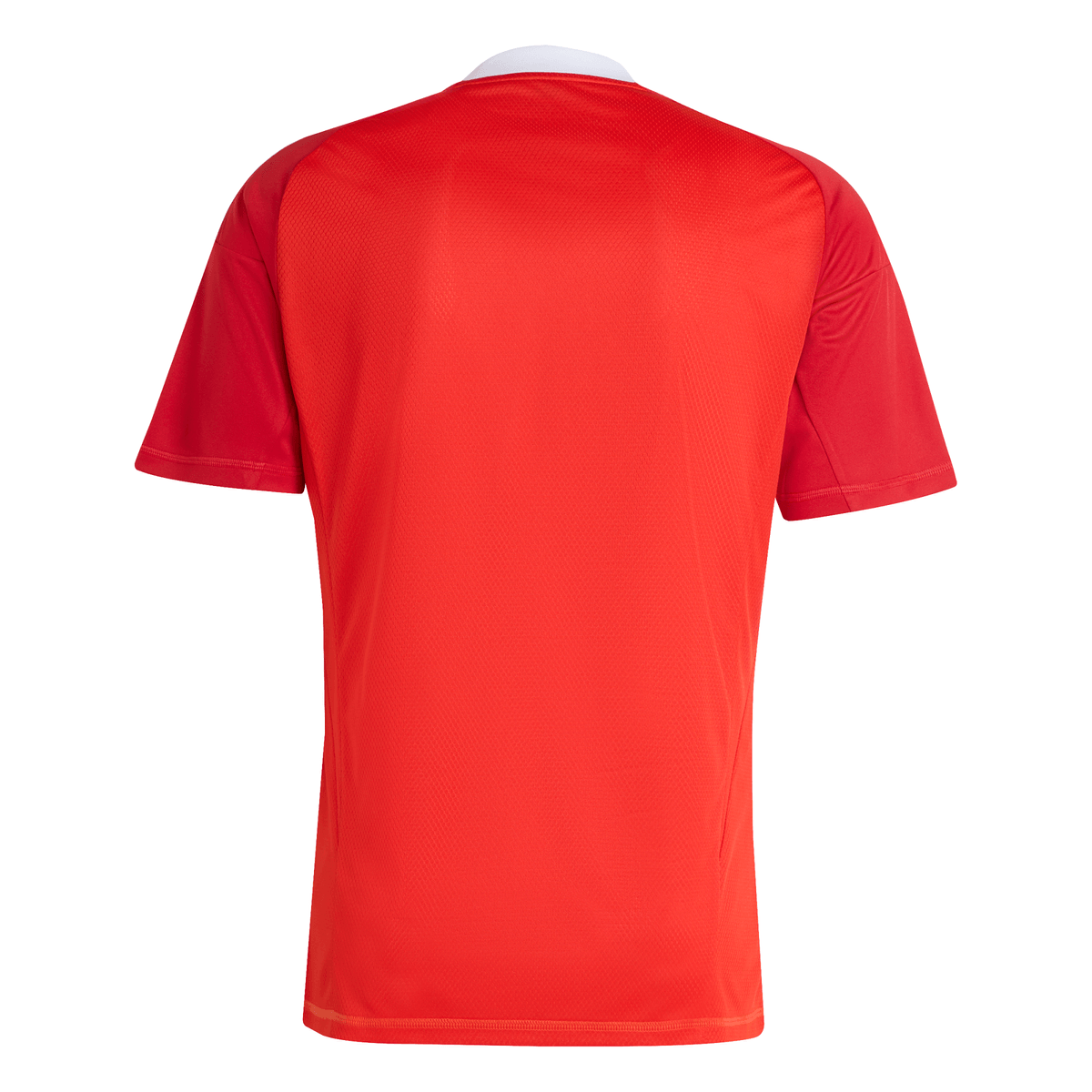 Manto Flamengo Goleiro 3 2025 - Patrocinio Fan Version