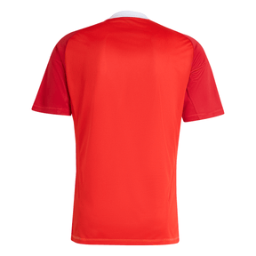 Manto Flamengo Goleiro 3 2025 - Patrocinio Fan Version