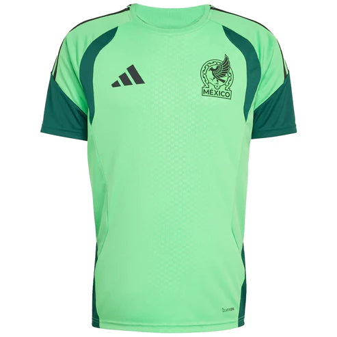 Mexico World Cup training 2026