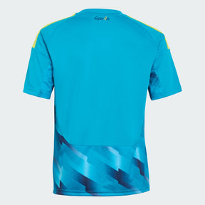 Camiseta Spain Goalkeeper Home Mundial 2026/27