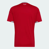 Jersey Wales 2026 Home World Cup